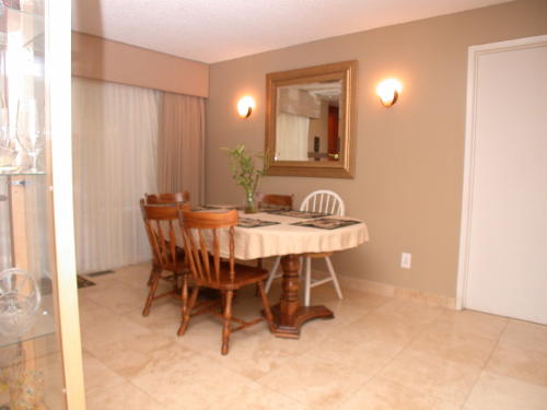 Lower level fireplace